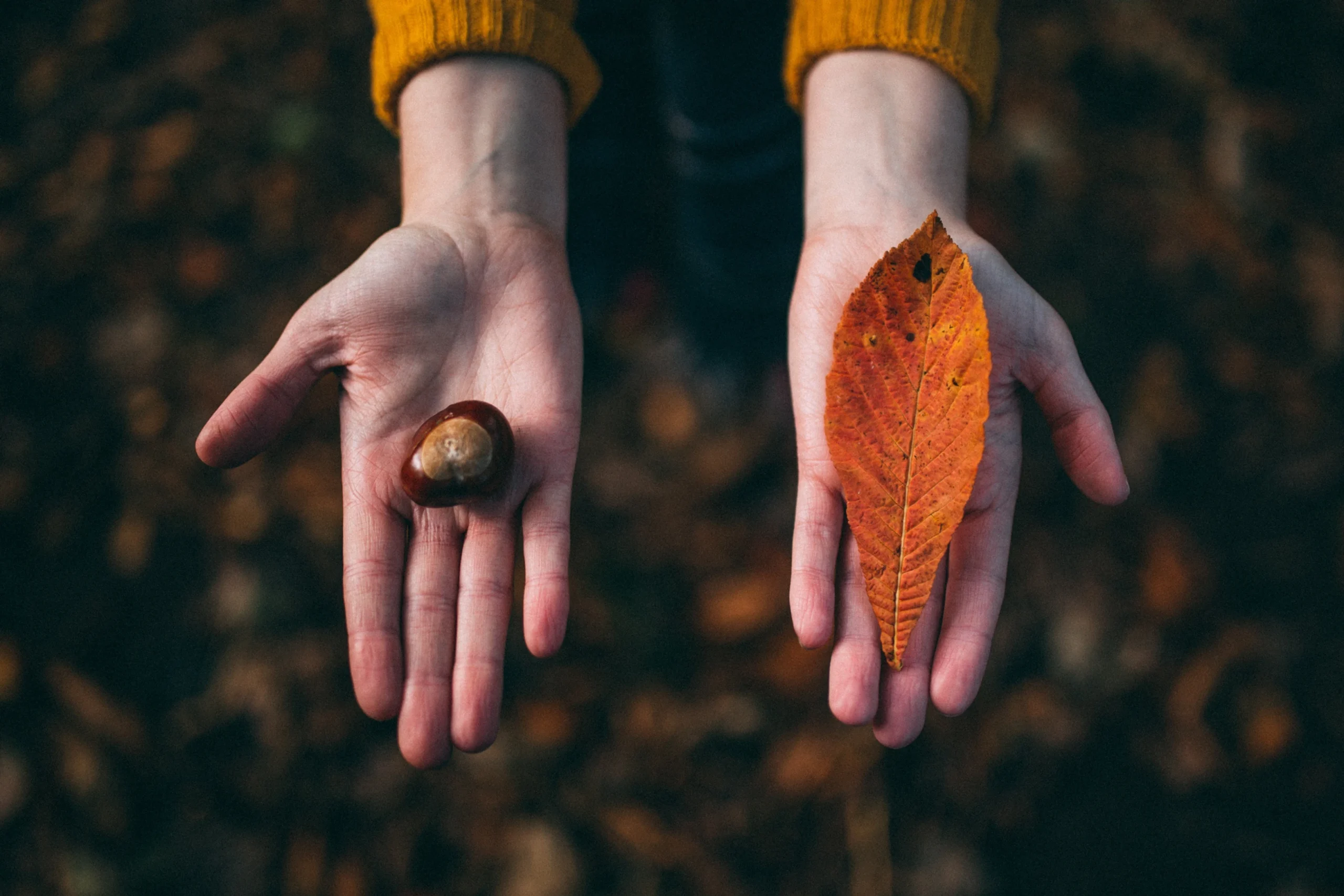 Connecting with nature 2